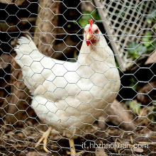Recinzione dell&#39;allevamento di pollame mesh di filo di pollo esagonale